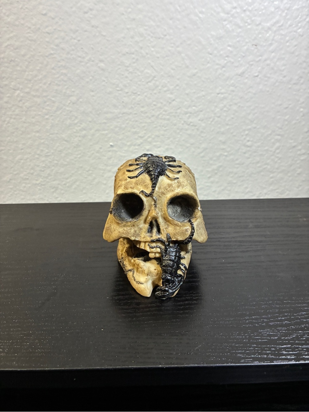 Vtg Magic Creations Skull w/ Scorpion Coin Bank Collectible Figurine Halloween